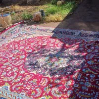 فوری.|فرش|فردوس (خراسان), |دیوار