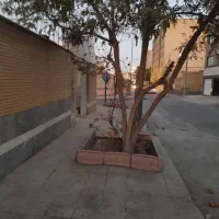 رهن و اجاره دو‌طبقه مجزا سی ۵