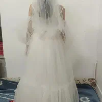 لباس مجلسی|لباس|سمنان, |دیوار