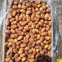 خرما زاهدی فوق اعلا