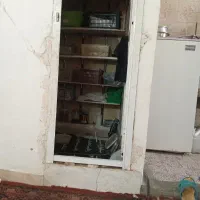 کرم ملیروم