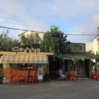 نیاز به یک باریستای  حرفه ای خانم