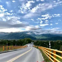 فروش زمین مسکونی به متراژ ۳۷۲ با درخت ۳۰ ساله