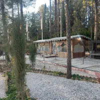 باریستا ، قیلون زن، سالن دار