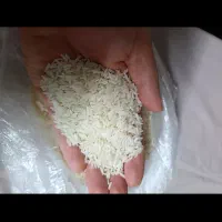 برنج هاشمی