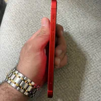 iPhone 12|موبایل|تهران, دردشت|دیوار