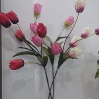 فروش گل لاله وگلدان