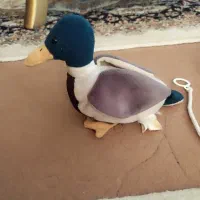 عروسک پنبه ای|اسباب‌‌بازی|شیراز, کوی زهرا|دیوار