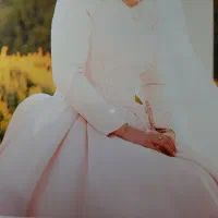 لباس عروس رنگی|لباس|ساری, |دیوار