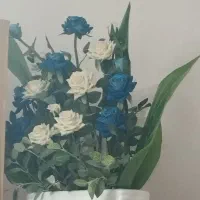 گل مصنوعی زیبا|گل مصنوعی|خوی, |دیوار