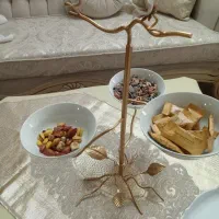 سرویس پذیرای