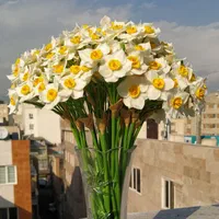 شاخه گل نرگس دکوری|گل مصنوعی|تهران, فلاح|دیوار