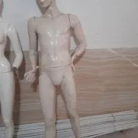 مانکن در حد