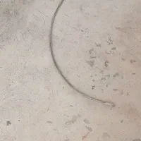 شلنگ کارواش ۲۱۰ بار|ابزارآلات|مارگون, |دیوار