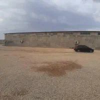 فروش کارخانه بسته بندی و فرآوری خرما (استان بوشهر)|فروش دفتر صنعتی، کشاورزی، تجاری|تهران, امیرآباد|دیوار