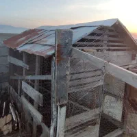 لانه مرغ و خروس و کبوتر|لوازم جانبی حیوانات|گمیشان, |دیوار