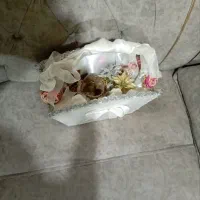 لباس عروسی نو شاخه گل جعبه حنا|لباس|پارس‌آباد, |دیوار