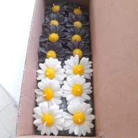 گیفت شمع مناسبتی