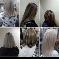 تخفیفات یلدایی رنگ ولایت