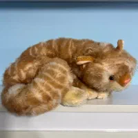 عروسک|اسباب‌بازی بچه|رشت, گلسار|دیوار