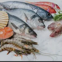 فروش میگو و انواع ماهی از جنوب