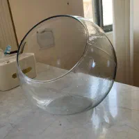 تنگ