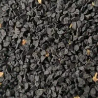 بذر پیاز درجه ۱ به شرط
