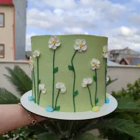 کیک تولد خونگی|خدمات پذیرایی، مراسم|رشت, شهرک صبا|دیوار