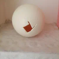 دکوری|صنایع دستی و سایر لوازم تزئینی|تربت‌حیدریه, حسنی بالا|دیوار