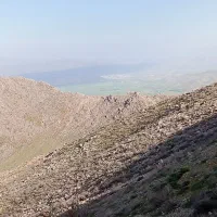 موسیر کوهی