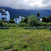 زمین-خوش-قواره-1000متری-رو-به-جنگل-نوشهر