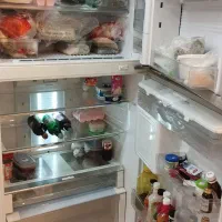 یخچال فریزر اسنوا