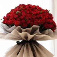 راهنمای خرید