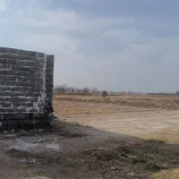 زمین قولنامه ای