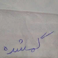 گمشدە