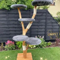 درختچه بازی (اسکرچر) گربه