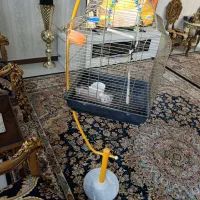 قفس با پایه