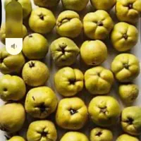 هیوا (به)