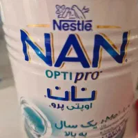 قوطی