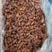 فروش خرما ضایعاتی