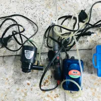 آکواریوم|ماهی|پردیس, فاز ۳|دیوار