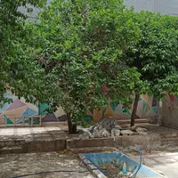ویلایی قدیمی ۲طبقه، جهت خوابگاه کارگاه خیاطی سکونت|اجارهٔ خانه و ویلا|شیراز, زند|دیوار