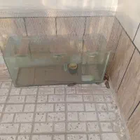 آکواریوم سالم|ماهی|تربت‌حیدریه, سرمحله|دیوار