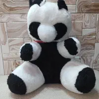 خرس پولیشی