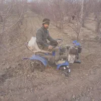 تیلر زنی باغ و گلخانه