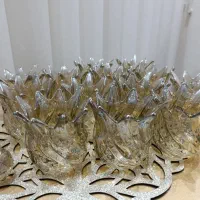 ۱۳ عدد لاله لوستر و اویز همراه لامپ کم مصرف|لوستر و چراغ آویز|سهند, |دیوار