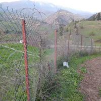 فروش زمین ۳۴۷۴ متری|فروش زمین و ملک کلنگی|توتکابن, |دیوار