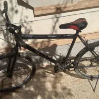 دوچرخه|دوچرخه، اسکیت، اسکوتر|بهار, |دیوار