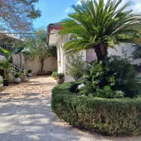 خانه ویلایی/ رشت به فومن/ براسفالت / سنددار|فروش خانه و ویلا|شفت, |دیوار