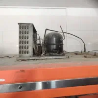 یخچال قصابی|فروشگاه و مغازه|گیان, |دیوار